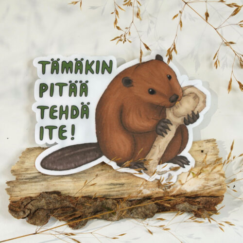 Tarra, jossa majava veistää hampaillaan puulusikkaa.