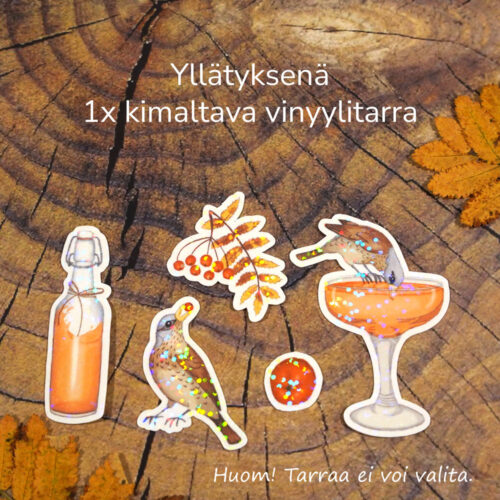 Tarrapussiin sisältyy yllätyksenä yksi kimaltava, vettähylkivä vinyylitarra.